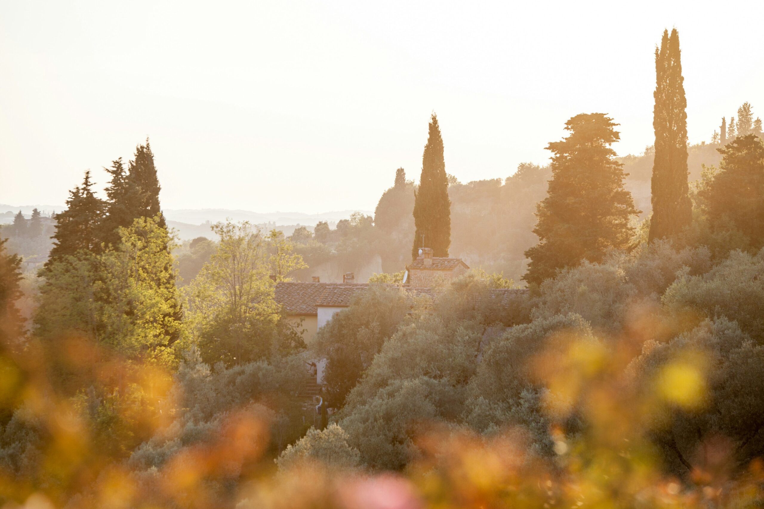 Golden evening light over cypress trees, olive groves, and a stone farmhouse in the Tuscan hills.